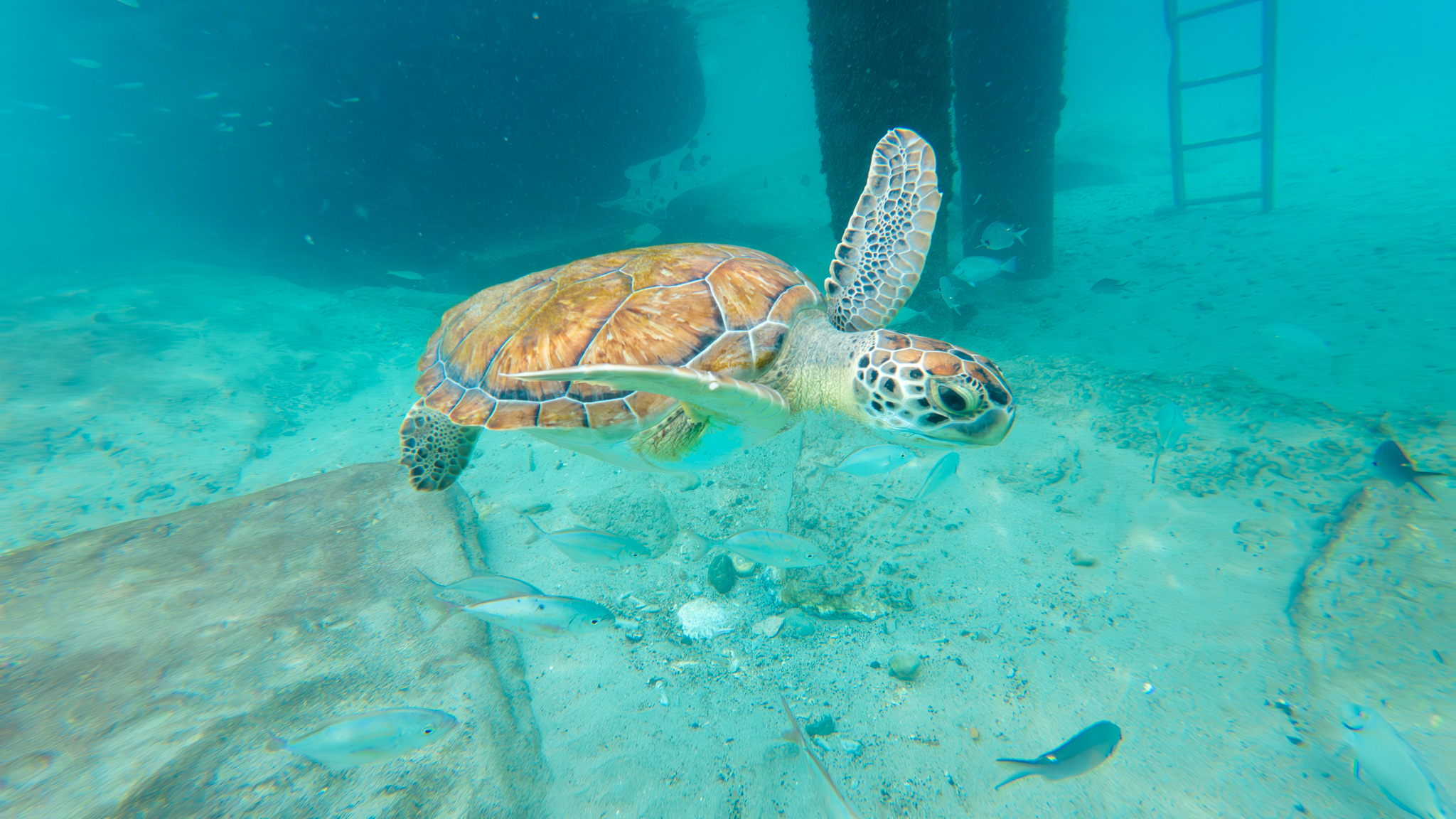 curacao