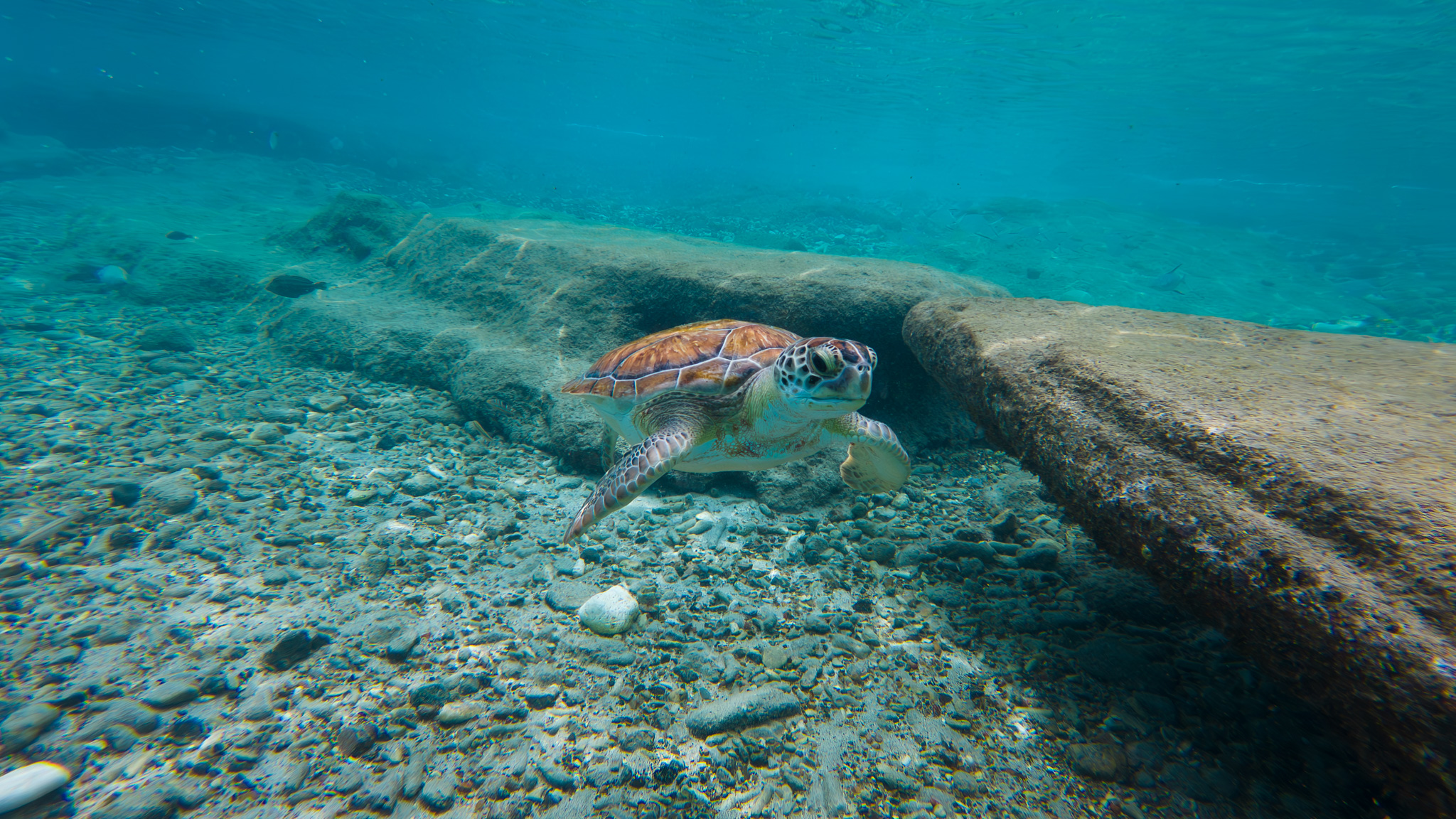 curacao